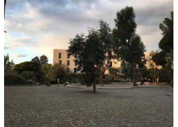 Lycée Les Eucalyptus de Nice image 2 Meilleurs Lycée à Nice Lycée Les Eucalyptus de Nice image 2