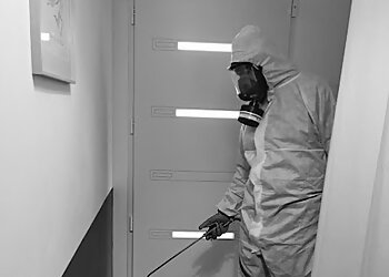 M2B Biosolution image 3 Meilleurs Anti Nuisibles à Rennes M2B Biosolution image 3