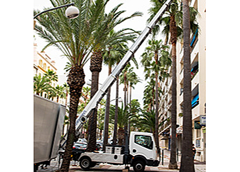 MM Déménagements image 2 Toulon Moving Companies MM Déménagements image 2