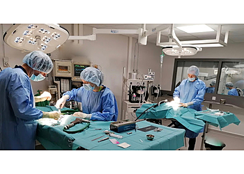 Mermoz Vet image 2 Meilleurs Cliniques Vétérinaires à Lyon Mermoz Vet image 2