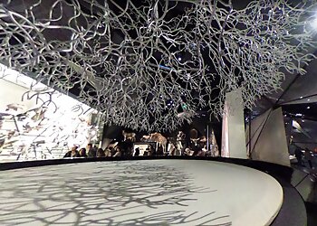 Musée des Confluences image 2 Meilleurs Lieux À Visiter à Lyon Musée des Confluences image 2