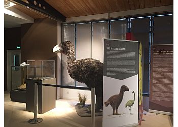 Muséum départemental du Var image 2 Toulon Places To Visit Muséum départemental du Var image 2