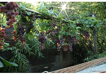 Myabsolutegarden image 3 Angers Landscaping Companies Myabsolutegarden image 3