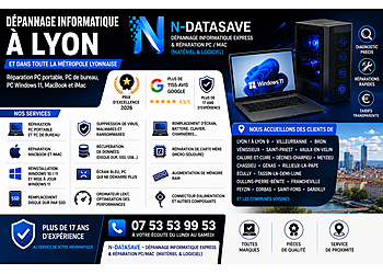 Meilleures Réparation D'Ordinateurs à Lyon N-DATASAVE-Dépannage Informatique Express & Réparation PC/Mac (Matériel & Logiciel) image 1
