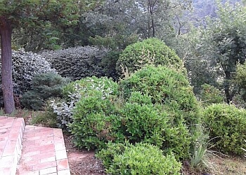 Najagage image 3 Marseille Landscaping Companies Najagage image 3