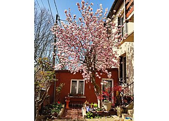 Nathalie Pönitzsch Acupuncture & Manual Therapies   image 2 Meilleure Acupuncture à Saint-Denis Nathalie Pönitzsch Acupuncture & Manual Therapies   image 2