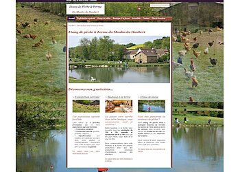 Natural-net image 2 Meilleurs Agences de création de site web à Bordeaux Natural-net image 2