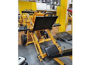 New Institut Longchamp image 3 Meilleurs Salles De Sport à Marseille New Institut Longchamp image 3