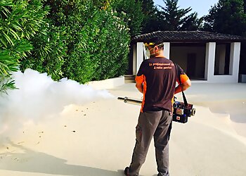 Nice Désinsectisations image 2 Meilleurs Anti Nuisibles à Nice Nice Désinsectisations image 2