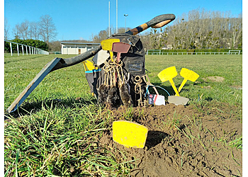 Meilleurs Anti Nuisibles à Tours Noma 2D image 1