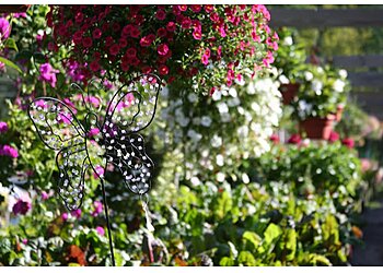 Noé Jardins Créateur & Services image 3 Meilleures Paysagistes à Lille Noé Jardins Créateur & Services image 3