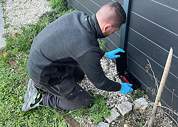 Nuisibles 13 image 3 Marseille Pest Control Nuisibles 13 image 3