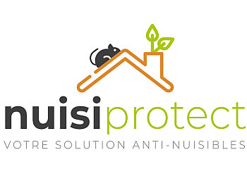 Nuisiprotect Votre Expert Anti Nuisibles