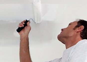 PS Nett image 3 Meilleurs Peintres à Lille PS Nett image 3