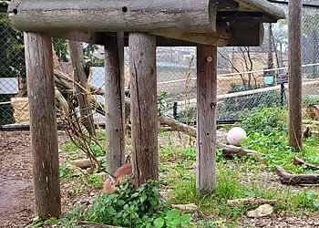 Parc animalier du Mont Faron image 2 Toulon Places To Visit Parc animalier du Mont Faron image 2