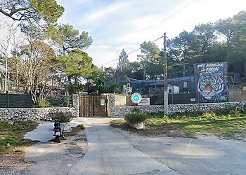 Meilleurs Lieux À Visiter à Toulon Parc animalier du Mont Faron image 1