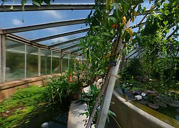 Parc de la Tête d'Or image 3 Meilleurs Lieux À Visiter à Lyon Parc de la Tête d'Or image 3