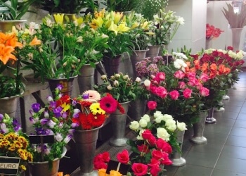 Philippe Fleurs image 2 Saint-Étienne Florists Philippe Fleurs image 2