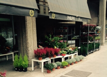 Philippe Fleurs image 3 Saint-Étienne Florists Philippe Fleurs image 3