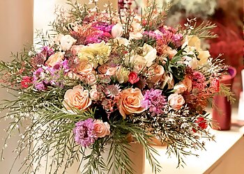 Pic Fleurs image 2 Meilleurs Fleuristes à Lille Pic Fleurs image 2