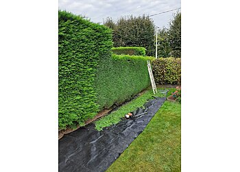 Pierre Weiss image 2 Le Havre Landscaping Companies Pierre Weiss image 2