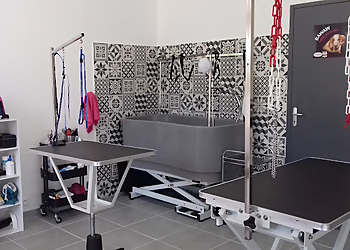 Pretty Dog image 3 Rennes Dog Grooming Pretty Dog image 3