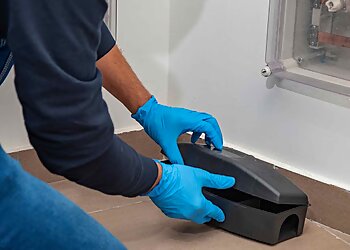 ProNet’Hygiene image 2 Marseille Pest Control ProNet’Hygiene image 2