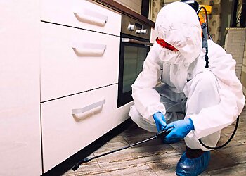 ProNet’Hygiene image 3 Marseille Pest Control ProNet’Hygiene image 3