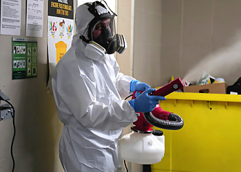 Protection Nuisibles Paris image 2 Paris Pest Control Protection Nuisibles Paris image 2