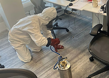 Protection Nuisibles Paris image 1 Paris Pest Control Protection Nuisibles Paris image 1