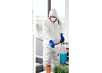 RADICAL STOP AUX NUISIBLES image 2 Bordeaux Pest Control RADICAL STOP AUX NUISIBLES image 2