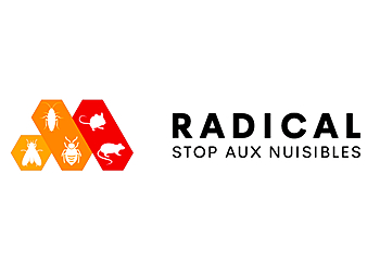 RADICAL STOP AUX NUISIBLES image 3 Bordeaux Pest Control RADICAL STOP AUX NUISIBLES image 3
