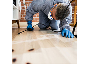 Bordeaux Pest Control RADICAL STOP AUX NUISIBLES image 1