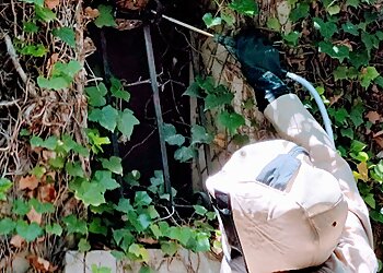 Radical Anti-Nuisible image 2 Meilleurs Anti Nuisibles à Montpellier Radical Anti-Nuisible image 2