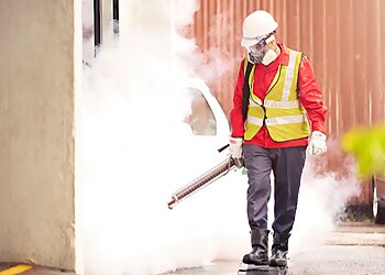 Rentokil image 2 Meilleurs Anti Nuisibles à Lille Rentokil image 2