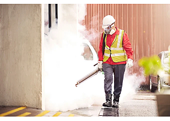 Rentokil Bordeaux image 2 Bordeaux Pest Control Rentokil Bordeaux image 2