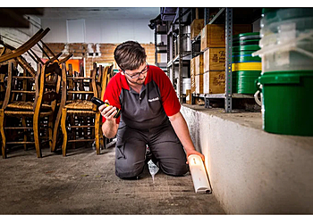 Bordeaux Pest Control Rentokil Bordeaux image 1