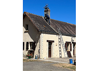 SF3D image 3 Meilleurs Anti Nuisibles à Tours SF3D image 3