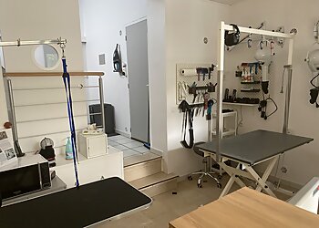 SO Le Salon Canin image 3 Meilleurs Salons de Toilettage De Chien à Bordeaux SO Le Salon Canin image 3