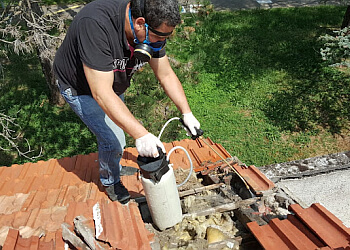 Sans Nuisibles image 3 Paris Pest Control Sans Nuisibles image 3