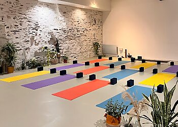Sattvic Element Yoga Nantes image 2 Meilleurs Cours de yoga à Nantes Sattvic Element Yoga Nantes image 2