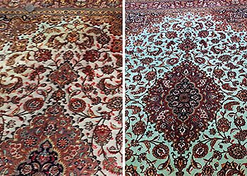 Shahrokh image 3 Nice Carpet Cleaning Shahrokh image 3