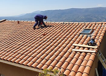 Soluty Anti-Nuisibles image 2 Meilleurs Anti Nuisibles à Nice Soluty Anti-Nuisibles image 2