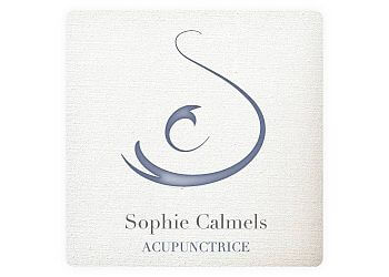 Sophie Calmels Acupunctrice image 2 Meilleure Acupuncture à Paris Sophie Calmels Acupunctrice image 2