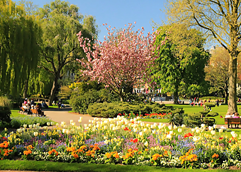 Le Havre Places To Visit Square Saint - Roch image 1