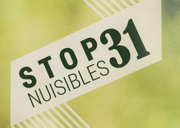 Stop Nuisibles 31
