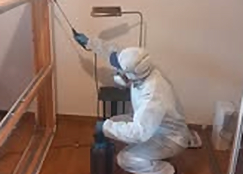 TAP image 2 Meilleurs Anti Nuisibles à Reims TAP image 2