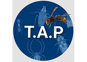 TAP image 3 Meilleurs Anti Nuisibles à Reims TAP image 3