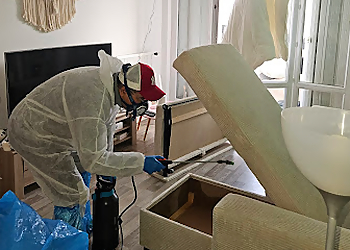 Reims Pest Control TAP image 1