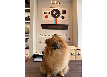 TOUTOU CHIC PARIS image 2 Paris Dog Grooming TOUTOU CHIC PARIS image 2